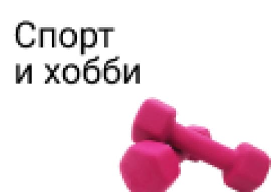 Спорт и хобби