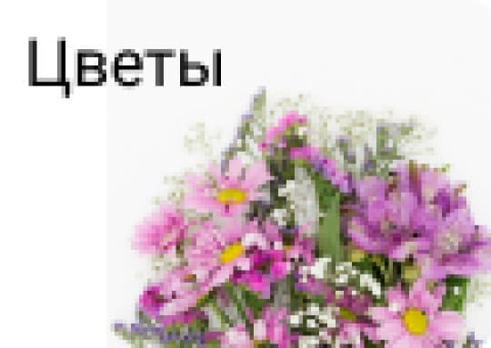 Цветы