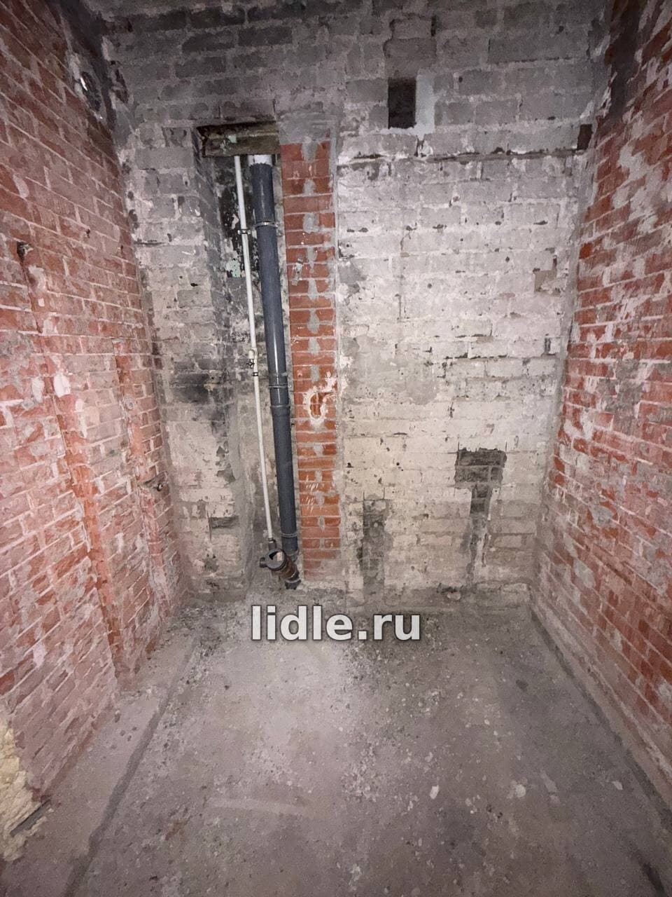 Фото объявления 8